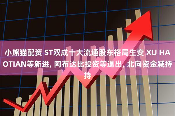 小熊猫配资 ST双成十大流通股东格局生变 XU HAOTIAN等新进, 阿布达比投资等退出, 北向资金减持