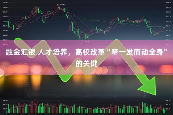 融金汇银 人才培养，高校改革“牵一发而动全身”的关键