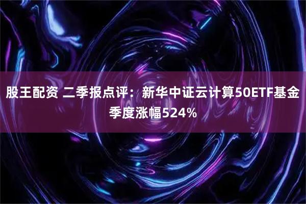 股王配资 二季报点评：新华中证云计算50ETF基金季度涨幅524%